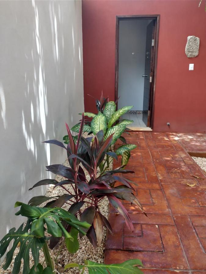 Casa Nicte-Ha Valladolid Валядолид Екстериор снимка